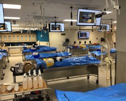 EVMS Gross Anatomy Lab Improvements